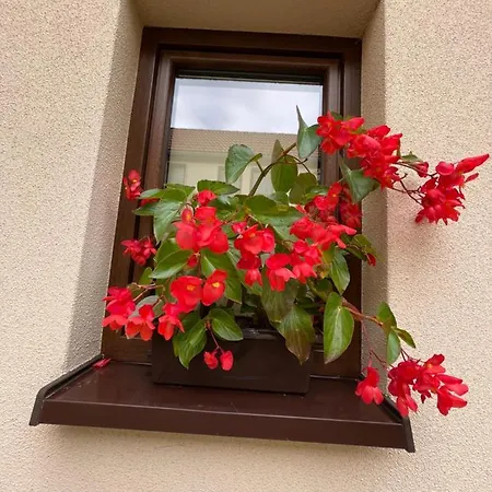Apartmán Sloneczne