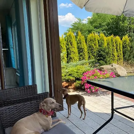 Apartamento Słoneczne Polanica-zdrój *