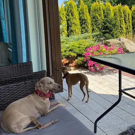 Apartment Sloneczne Polanica-Zdroj