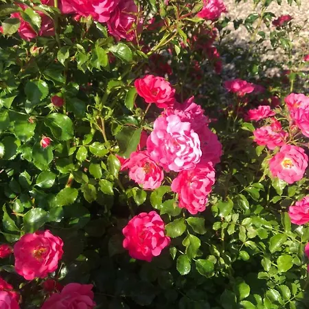 Apartamento Słoneczne Polanica-zdrój Polanica-Zdrój