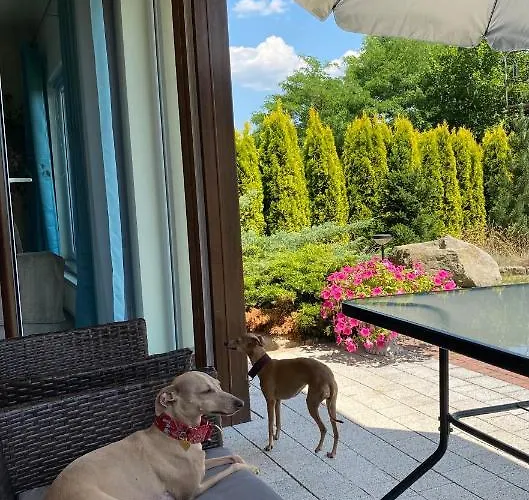 Apartment Sloneczne *