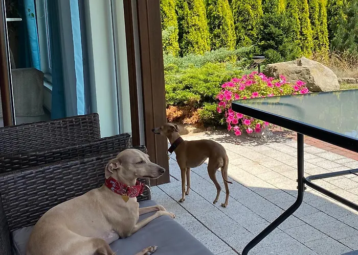 Apartment Sloneczne Polanica-Zdroj